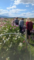 Workshop – komentovaný sběr květin a prohlídka farmy