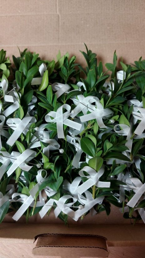 Korsáže pro ostatní svatebčany