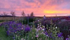 Workshop – komentovaný sběr květin a prohlídka farmy