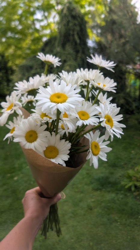 Květinový kornout - Velikost: velká (25 stonků)