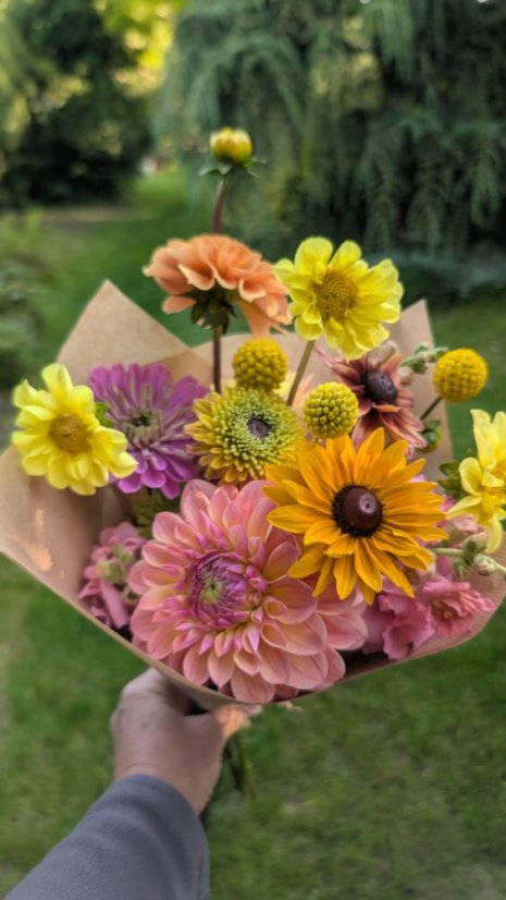 Květinový kornout - Velikost: velká (25 stonků)