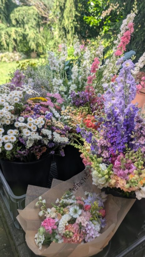 Doprava na místo svatby